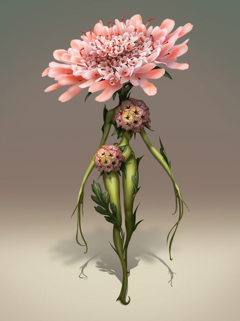 Floral Humanoid concept- Scabiosa